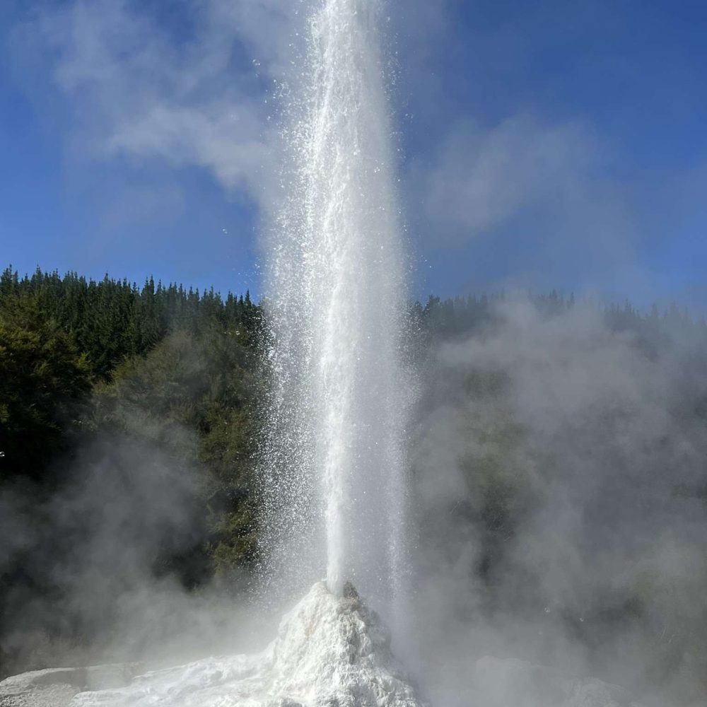 A geyser going off in a park near Rotorua, New Zealand