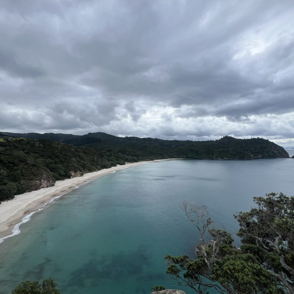 New Zealand_Coromandel Peninsula_2 Overlooking a long beach on a forested peninsula