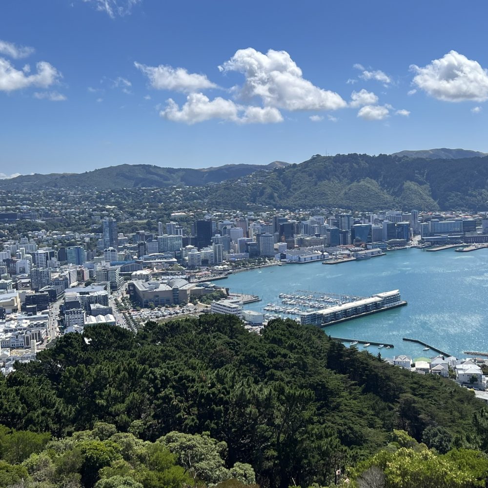 A view over New Zealand's Capital city with the buildings and bay below