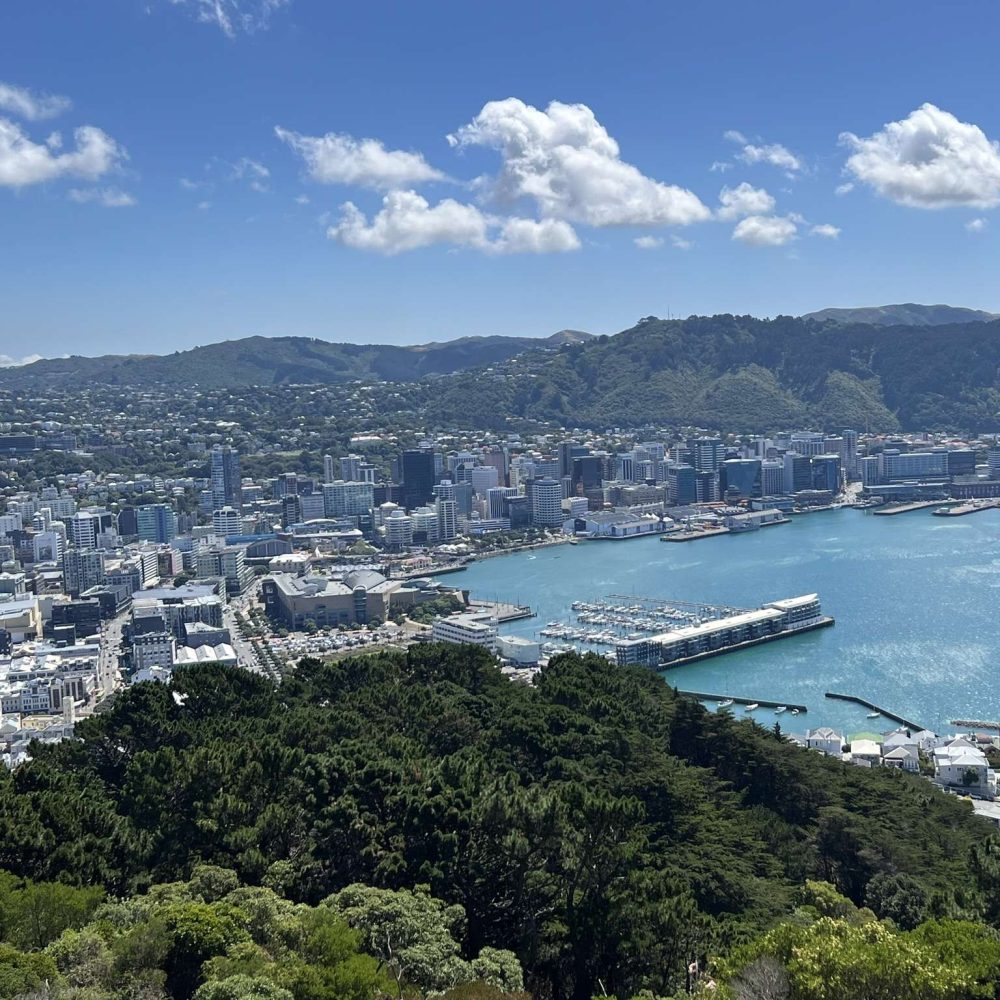 A view over New Zealand's Capital city with the buildings and bay below
