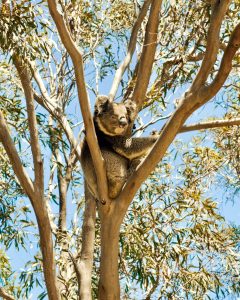 PHLOW_PHOTO_20241114_2206_0020