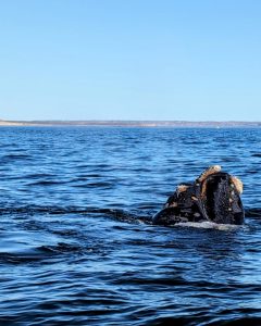 PXL_20231103_213630707~3