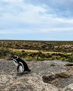 PXL_20231104_125151409.MP~3