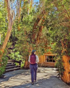 PXL_20240218_152230246-01