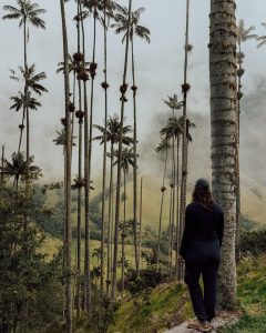 PXL_20240809_164012549.MP