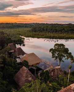 Yasuni National Park -Napo Wildlife Center - Amazon Rainforest - Ecuador