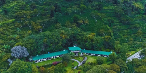 Aerial view of Finca Lerida boutique hotel nestled within a vast coffee plantation and cloud forest in Boquete Panama -- Boquete Panama