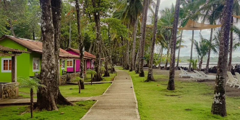 Green and pink beach cabins along a palm lined path at Hotel Oasis and Surf Camp in Santa Catalina, Panama