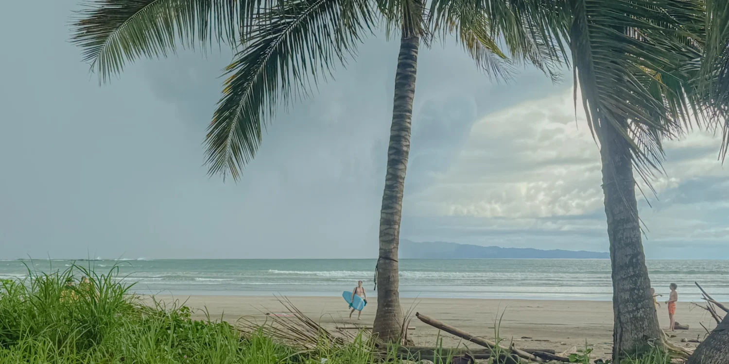 santa-catalina-panama-beach-surfer-arrival A surfer walking a quiet beach beneath a palm tree with mountains across the bay in Santa Catalina, Panama