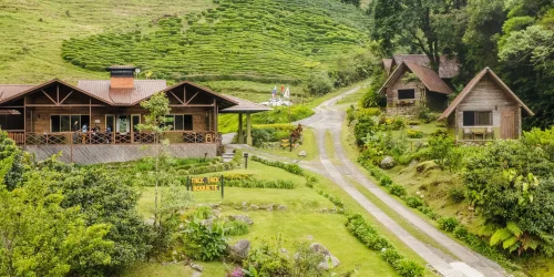 Wooden lodge and guest cabins surrounded by manicured gardens and a terraced coffee plantation at Tree Trek Adventure Park Hotel in Boquete Panama -- Boquete Panama