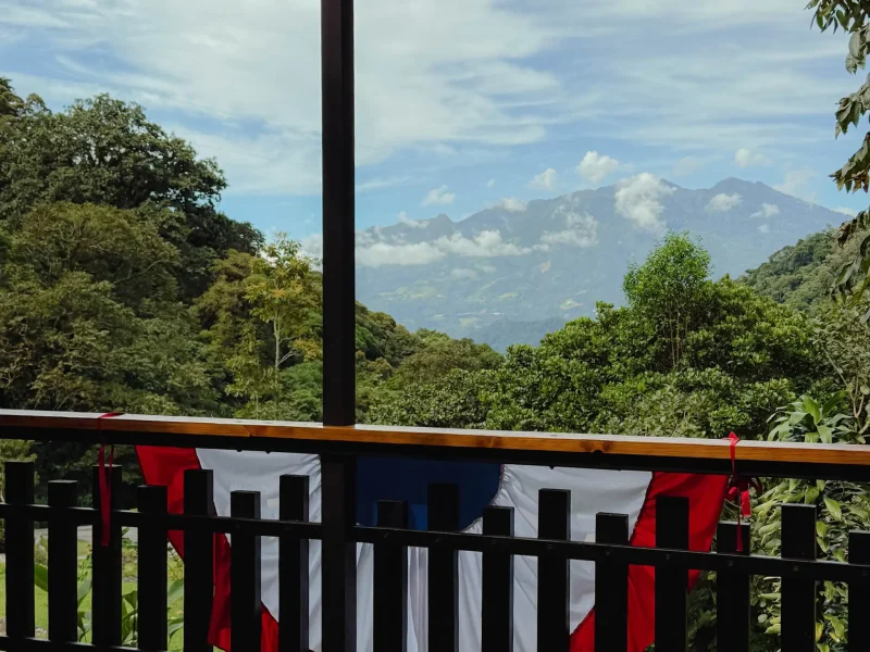 View of Volcan Baru through the cloud forest from the restaurant terrace at Tree Trek in Boquete Panama -- Boquete Panama